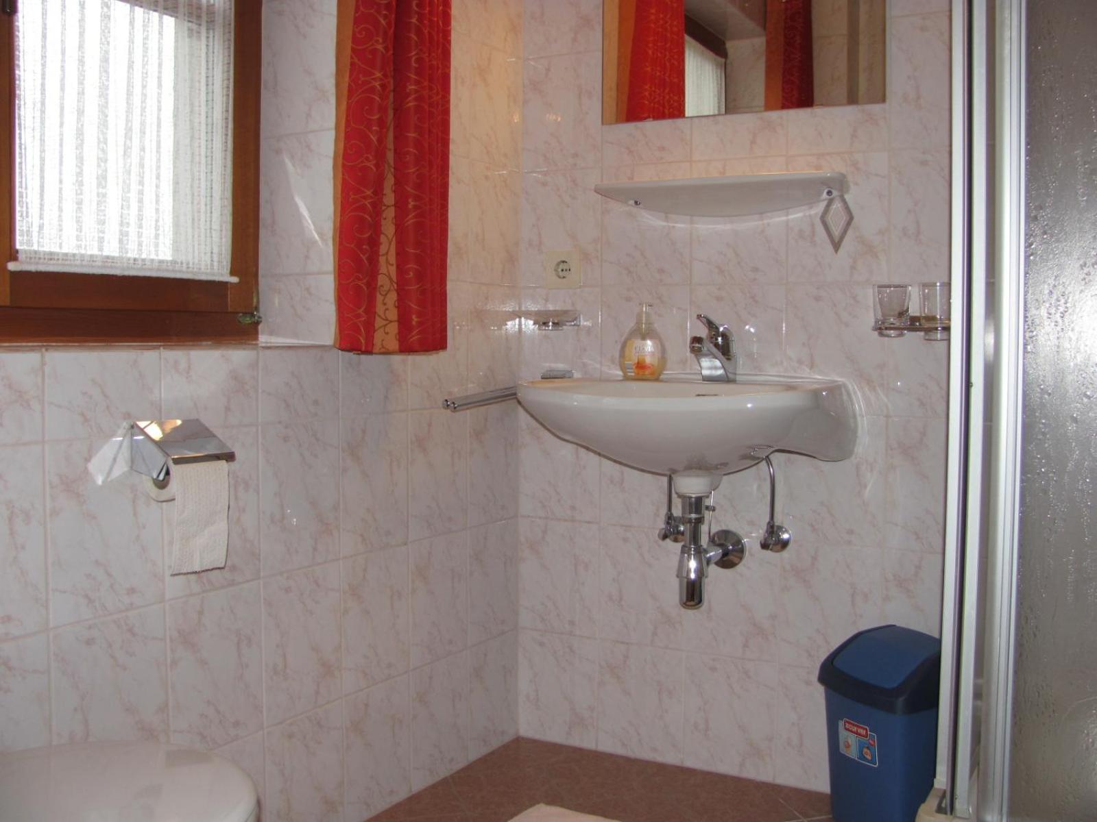 Wanishof Apartment Thiersee Bagian luar foto
